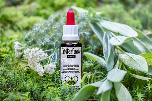 Bartoel-Götterfunke-web