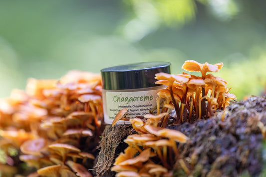 Chacka-Gesichtscreme-web