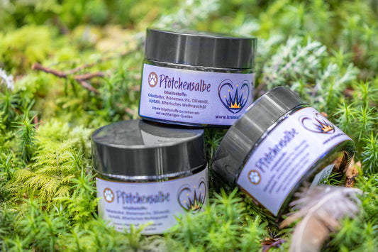 Pfoetchensalbe-web