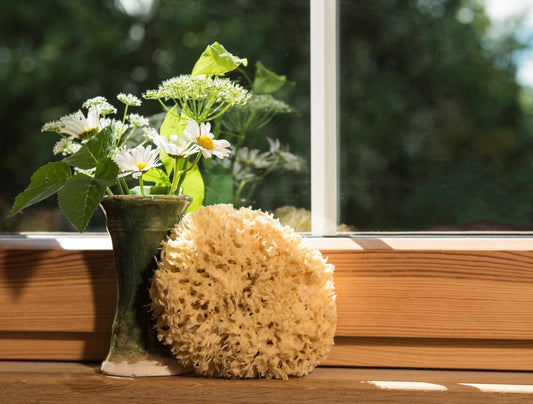 kronseifen-naturbadeschwamm-2021