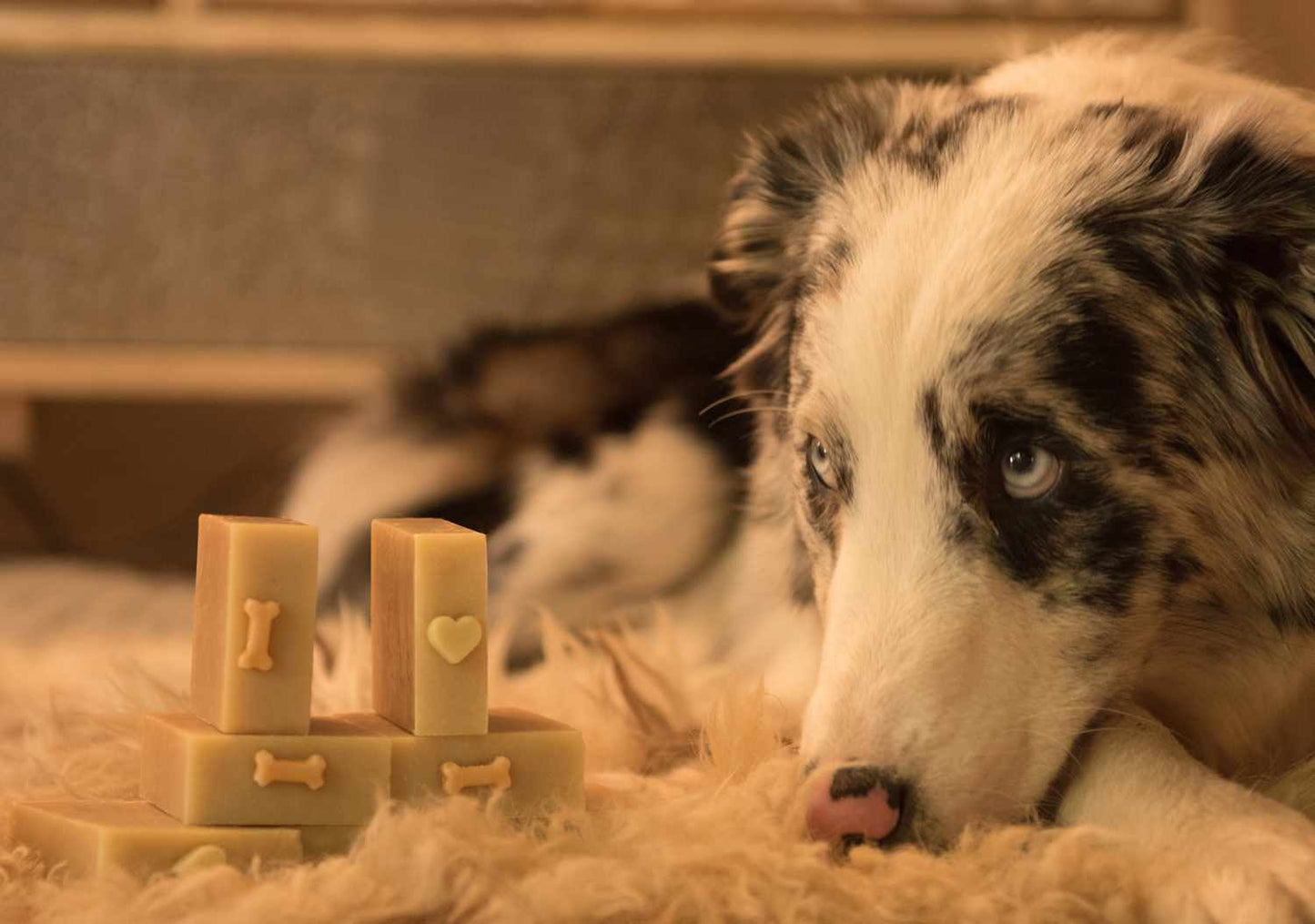 kronseifen-tierseife-2021